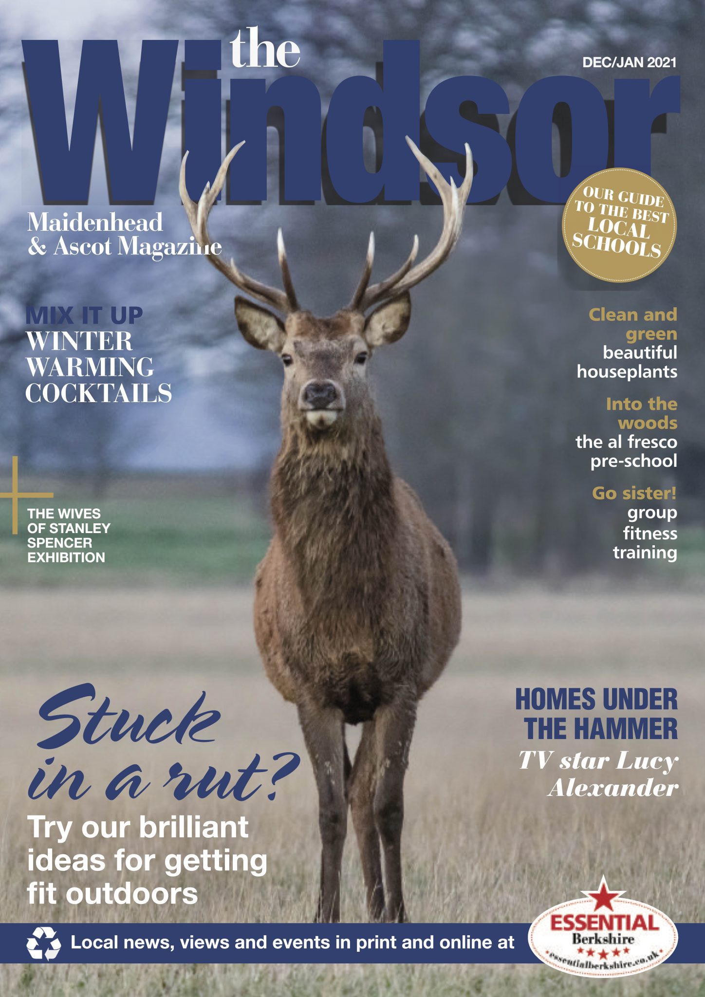 windsor magazine