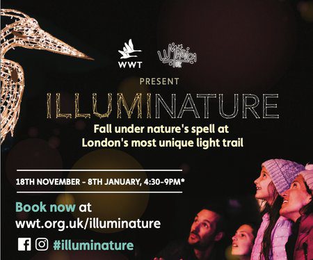 illuminature mpu